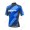 Giant Elevate blau Trikot Kurzarm 2018 Radtrikot Kaufen