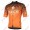 Profiteam 2018 Bianchi Milano Conca orange Trikot Kurzarm 83461EF Radtrikot Kaufen