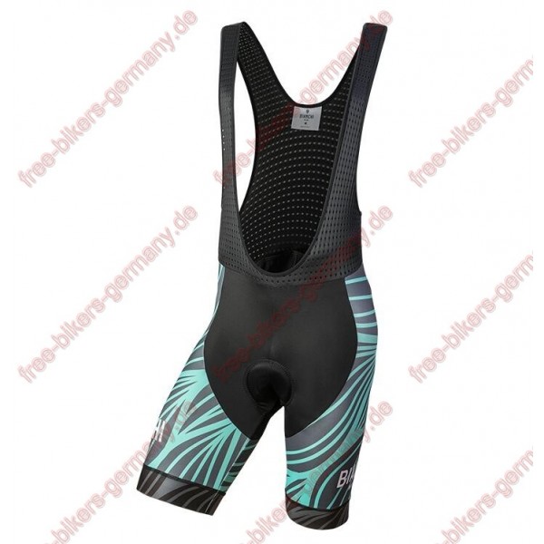 Profiteam 2018 Bianchi Milano Caina Blau Trägerhosen Set 84377GX Radtrikot Kaufen