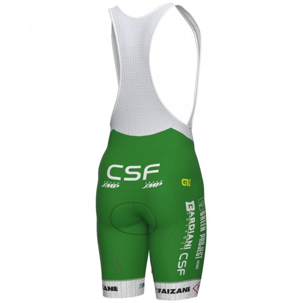 Green Project-Bardiani Csf-Faizane' 2023 Set (Radtrikot langer RV+Trägerhose)-ALE Radsport-Profi-Team