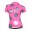2015 Nalini Siele Rose-Grau Damen Radtrikot Kurzarm Radtrikot Kaufen