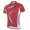 2014 Fox Bike Team Radtrikot Kurzarm Rot Radtrikot Kaufen