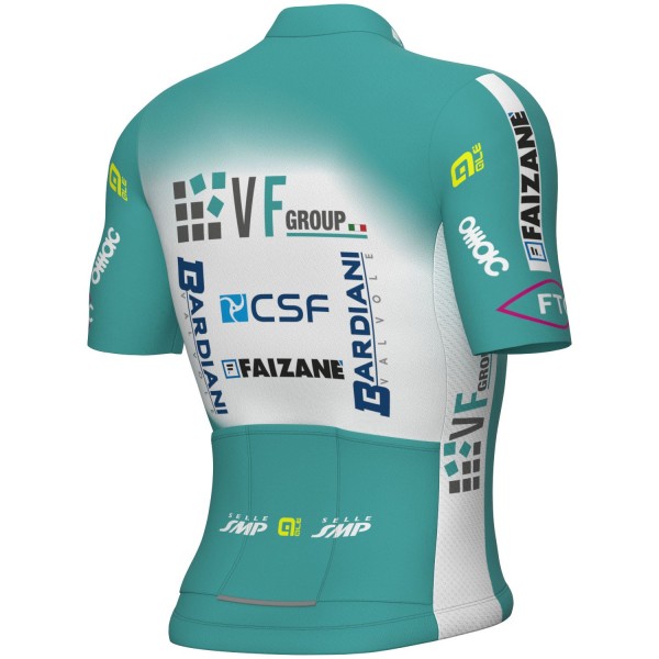 Herren Ale VF Group-Bardiani CSF-Faizane 2024 trikot Radtrikot Kaufen