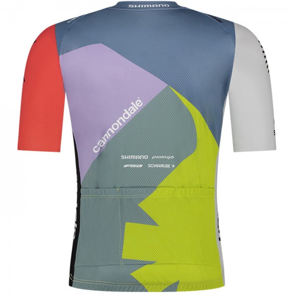 Herren Cannondale Factory Team 2024 Endurance Trikot Radtrikot Kaufen