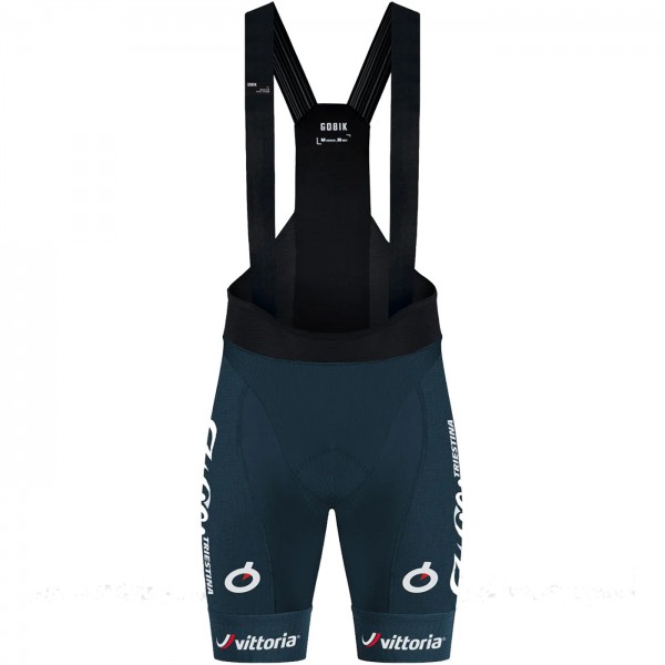 Herren Gobik Wilier Vittoria 2024 Absolute 6.0 K10 tragerhose Radtrikot Kaufen