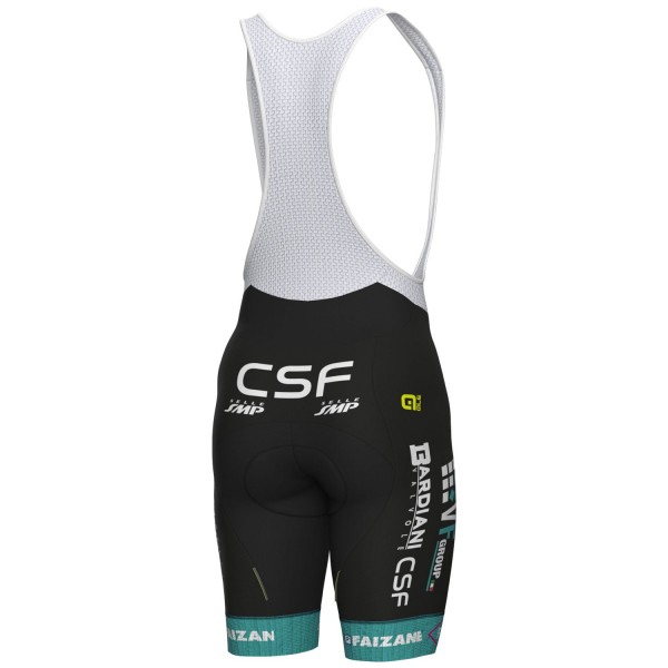 Herren Ale VF Group-Bardiani CSF-Faizane 2024 tragerhose Radtrikot Kaufen
